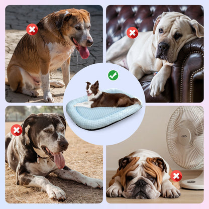 Ice-Silk Cooling Pet Bed - Buy 1 Get 1 FREE