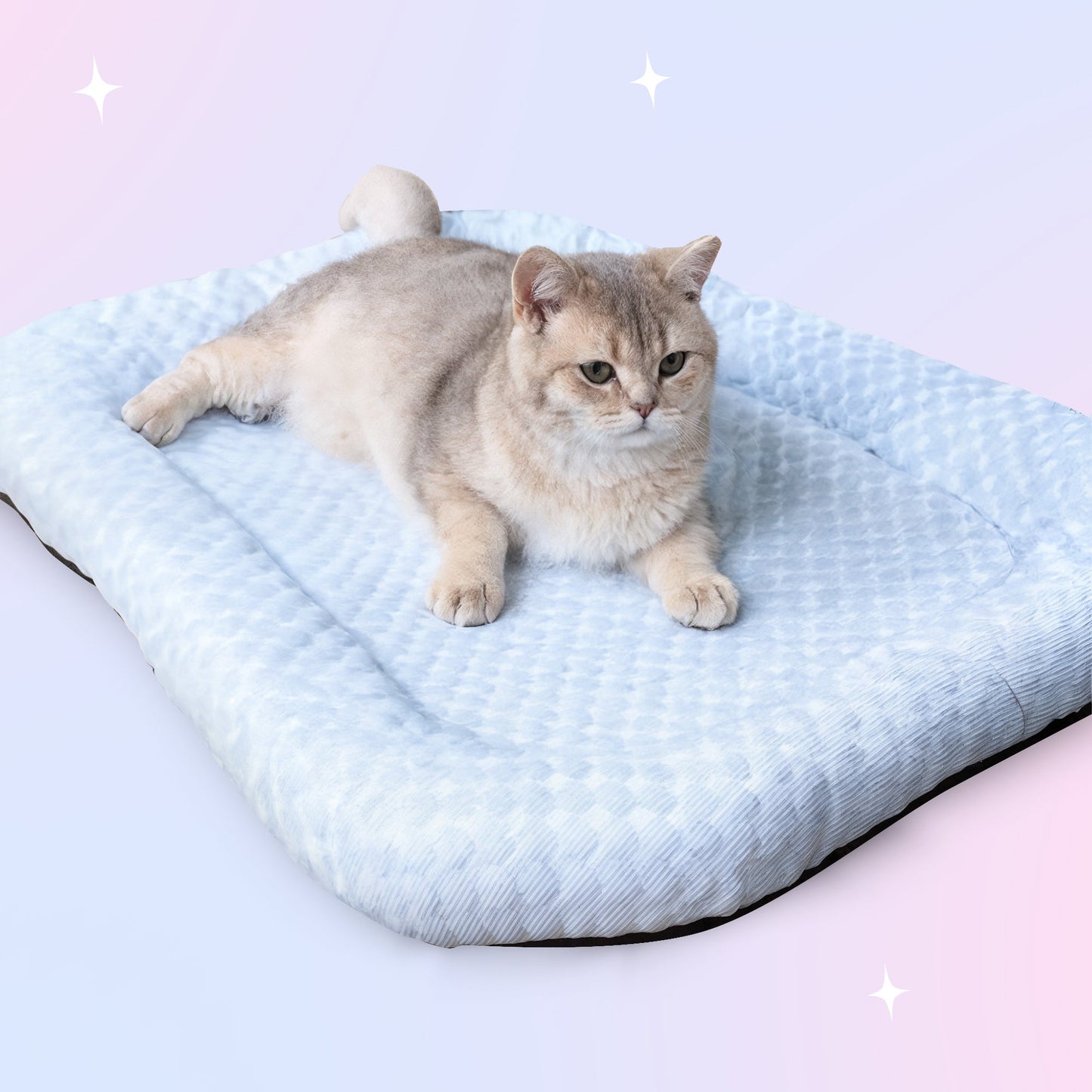 Ice-Silk Cooling Pet Bed - Buy 1 Get 1 FREE